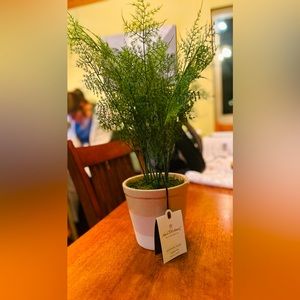 Heart & Hand with Magnolia Artificial Plant